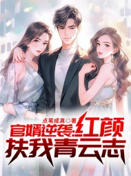 官婿逆袭：红颜扶我青云志阅读小说阅读