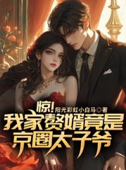 惊！我家赘婿竟是京圈太子爷小说阅读