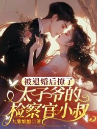 被退婚后撩了太子爷的检察官小叔阅读小说阅读