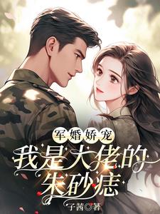 军婚娇宠，我是大佬的朱砂痣阅读小说阅读