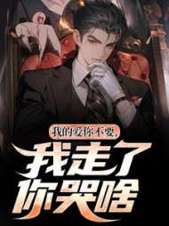 我的爱你不要，我走了你哭啥阅读小说阅读