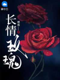 白月司渊小说阅读