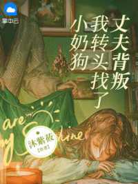 林婉如傅宴岑小说阅读