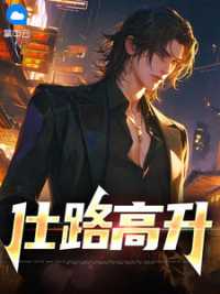仕路高升小说阅读