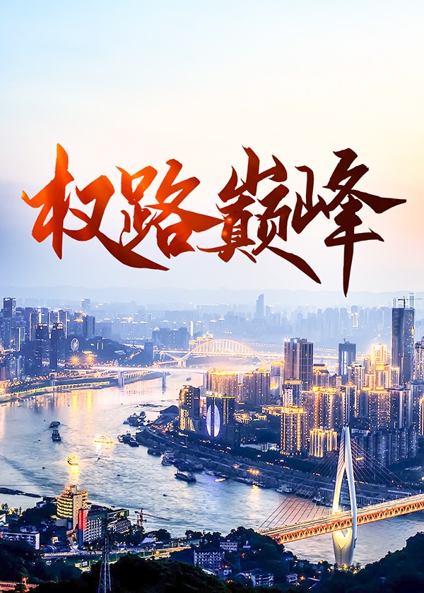 权路巅峰小说阅读