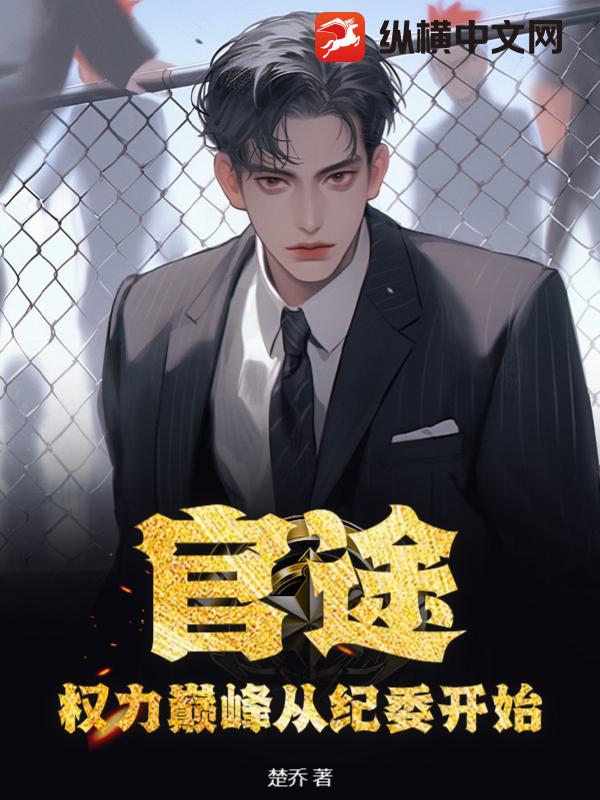 权力巅峰从纪委开始小说阅读