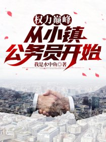 权力巅峰：从小镇公务员开始小说阅读