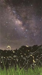 夏日幽灵(一只小埋酱)阅读小说阅读