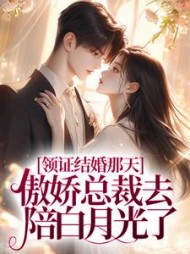 领证结婚那天,傲娇总裁去陪白月光了小说阅读