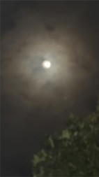 老公出轨后我让他人财两空后续+番外小说阅读