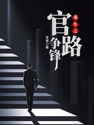 重生之官路争锋齐飞阅读小说阅读
