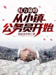 权力巅峰：从小镇公务员开始阅读小说阅读