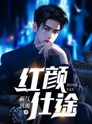 红颜仕途李锋阅读小说阅读