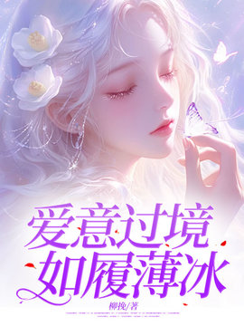 爱意过境，如履薄冰小说阅读