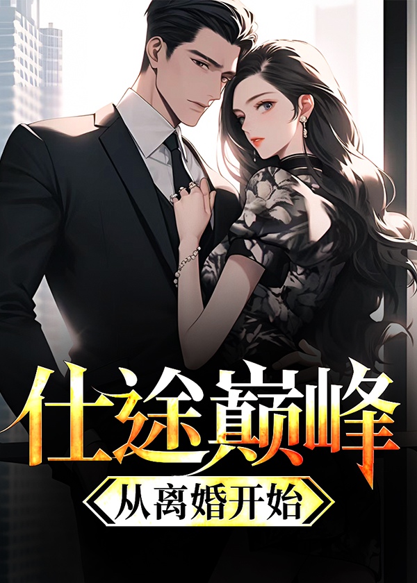仕途巅峰：从离婚开始小说阅读