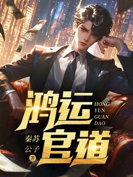 鸿运仕途小说阅读
