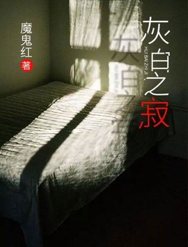 灰白之寂小说阅读
