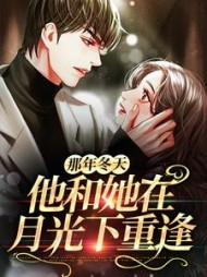 那年冬天，他和她在月光下重逢小说阅读