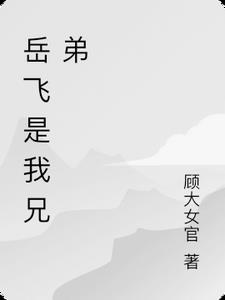 岳飞是我兄弟岳峰阅读小说阅读