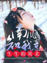 南风知我意，生生盼霄北小说阅读