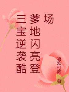 三宝逆袭酷爹地闪亮登场最新小说阅读