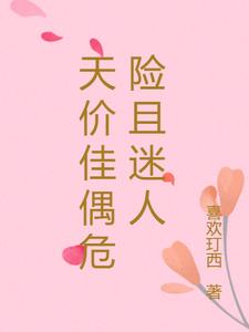 天价佳偶危险且迷人阅读小说阅读