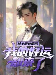 被上司连带后我的好运却来了韩文道小说阅读