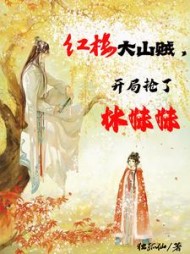 红楼大山贼,开局抢了林妹妹精彩小说阅读
