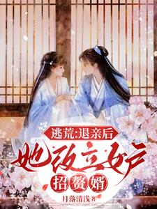 逃荒：退亲后，她改立女户招赘婿小说阅读