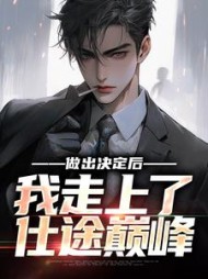 做出决定后,我走上了仕途巅峰小说阅读