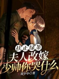 扶正绿茶?夫人改嫁少帅你哭什么精彩小说阅读
