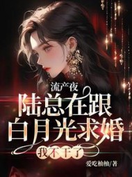 流产夜,陆总在跟白月光求婚,我不干了小说阅读