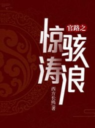 官路之惊涛骇浪苏晨精彩小说阅读
