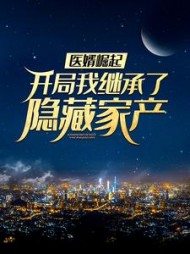 医婿崛起:开局我继承了隐藏家产阅读小说阅读