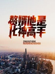 赘婿他是化神高手刘峰阅读小说阅读