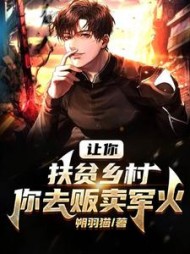 让你扶贫乡村，你去贩卖军火小说阅读