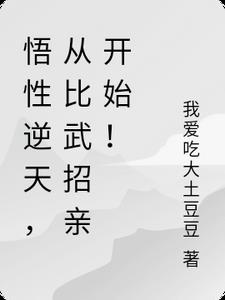 悟性逆天，从比武招亲开始小说阅读