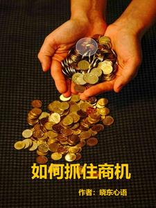 如何抓住商机(晓东心语)小说阅读