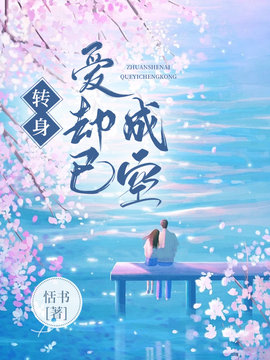 转身爱却已成空小说阅读