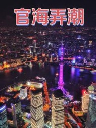官海弄潮林学民小说阅读