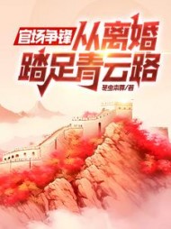 官场争锋,从离婚踏足青云路齐国伟小说阅读