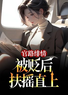 官路绯情：被贬后扶摇直上小说阅读