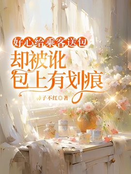 好心给乘客送包，却被讹包上有划痕小说阅读