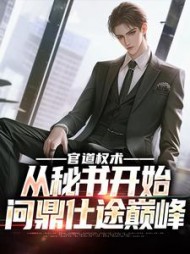 官道权术：从秘书开始问鼎仕途巅峰小说阅读