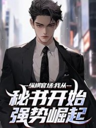 纵横官场：我从秘书开始强势崛起最新小说阅读