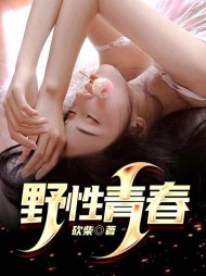 野性青春沐岚夏斌小说阅读