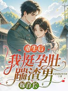 重生后，我挺孕肚踹渣男，嫁首长阅读小说阅读