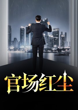官场红尘小说阅读