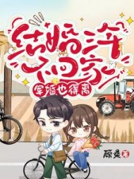 结婚三年不回家，军婚也得离小说阅读