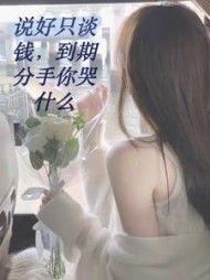 说好只谈钱，到期分手你哭什么？小说阅读